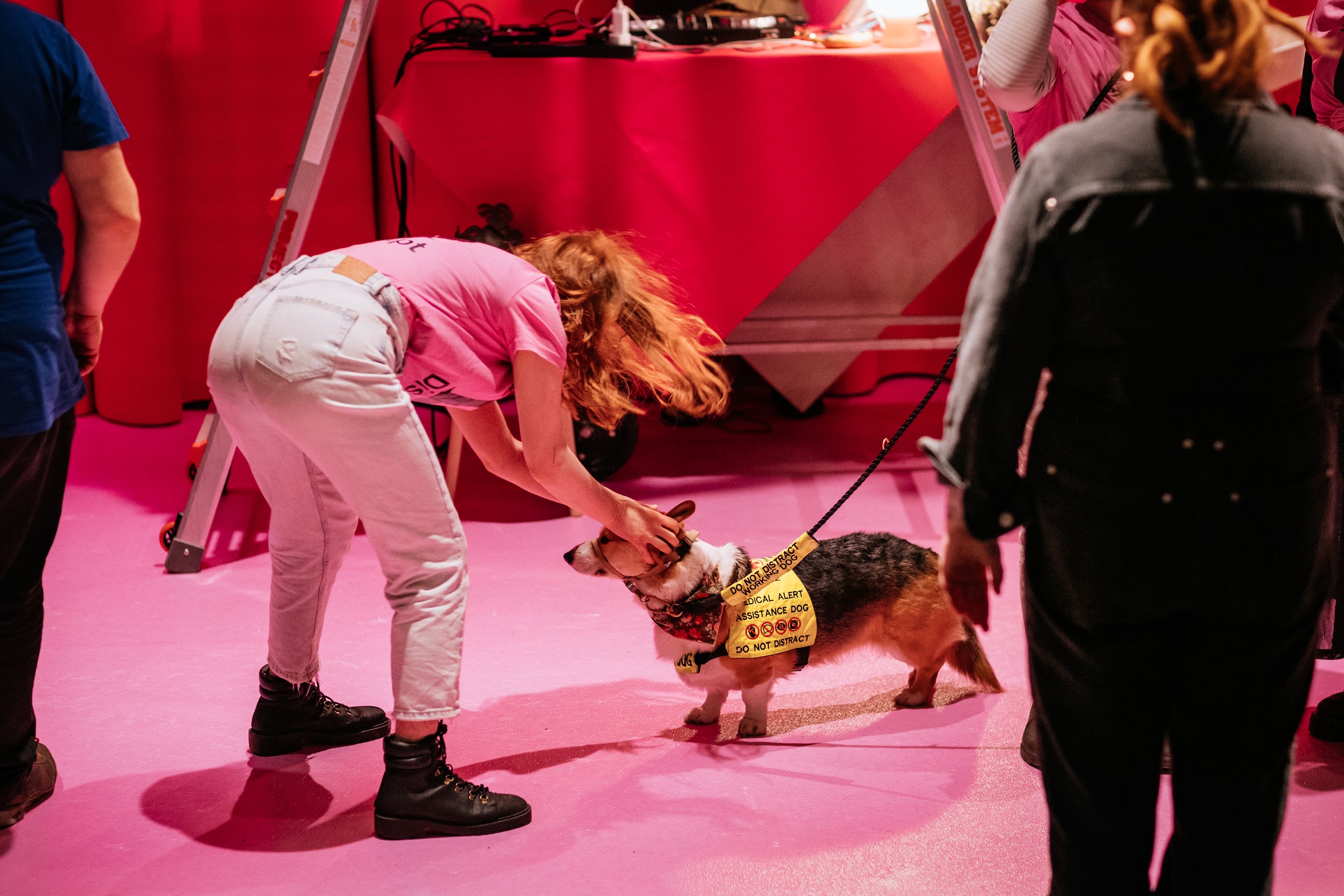 Pre-event and during set-up people are gathered on the Disconnect closing party dance floor. A person in blue jeans and a pink t-shirt interacts with a dog. The dog is a corgi and wears a hi-vis and a bandana. In the background is a ladder and some Dj equipment.